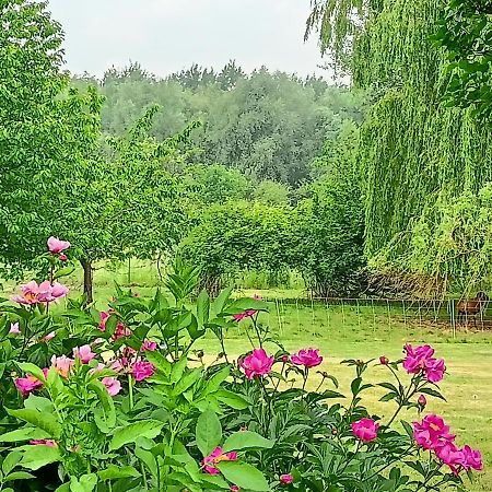 Les Chambres Du Vert Galant Rez De Jardin Verlinghem Εξωτερικό φωτογραφία
