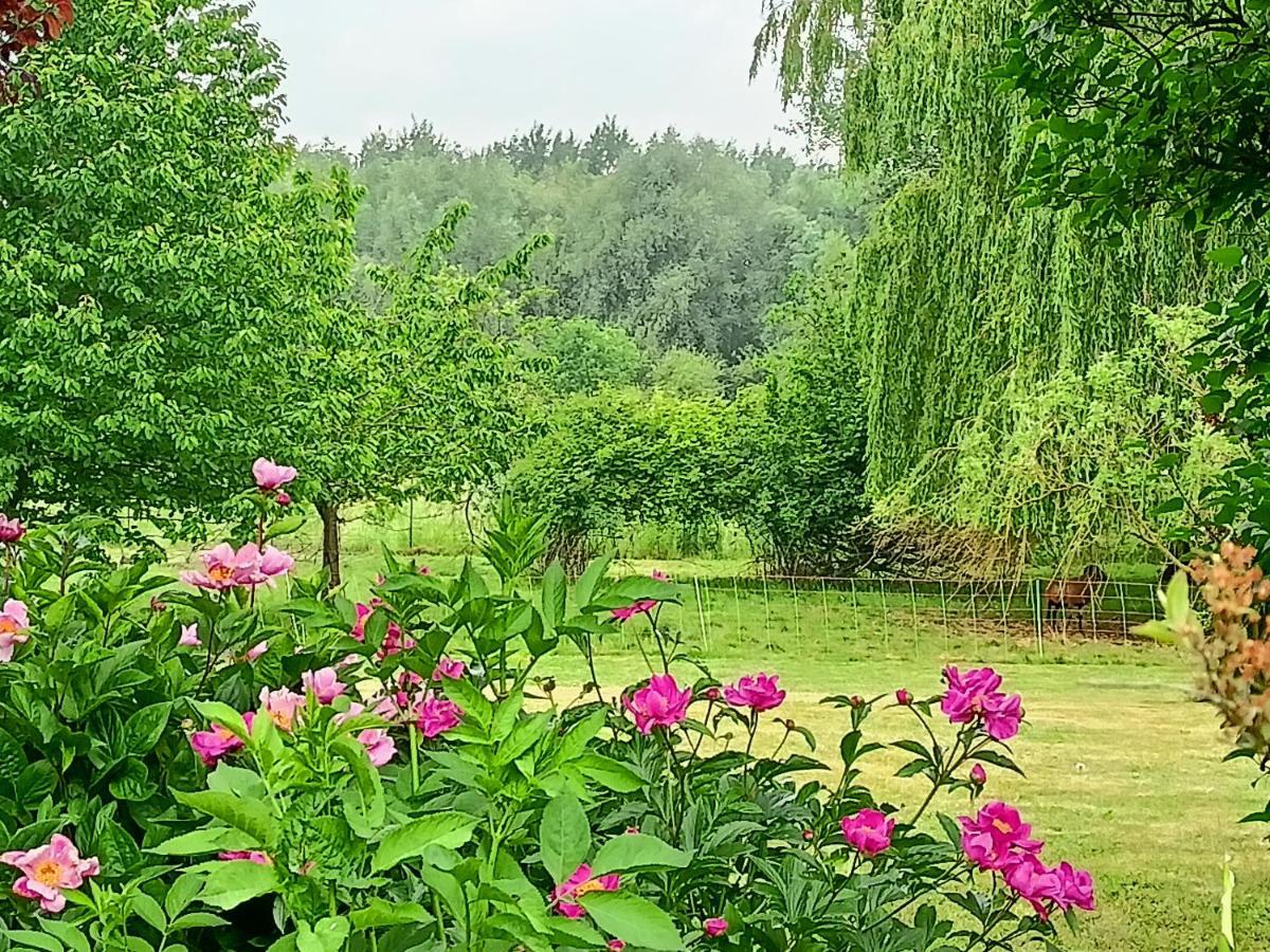 Les Chambres Du Vert Galant Rez De Jardin Verlinghem Εξωτερικό φωτογραφία