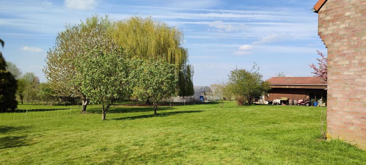 Les Chambres Du Vert Galant Rez De Jardin Verlinghem Εξωτερικό φωτογραφία